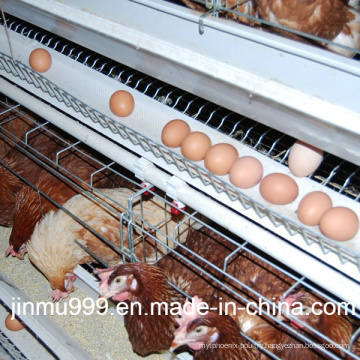 Automatic Chicken Cage for Layer Farm